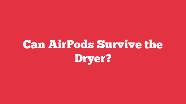 Can AirPods Survive the Dryer?