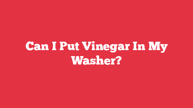 Can I Put Vinegar In My Washer?