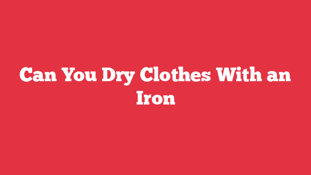 Can You Dry Clothes With an Iron