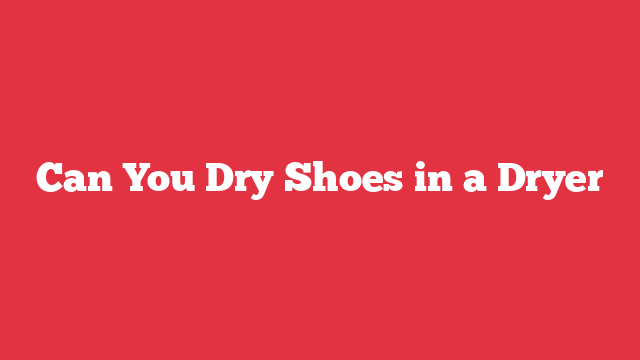 Can You Dry Shoes in a Dryer