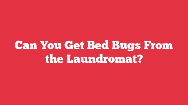 Can You Get Bed Bugs From the Laundromat?
