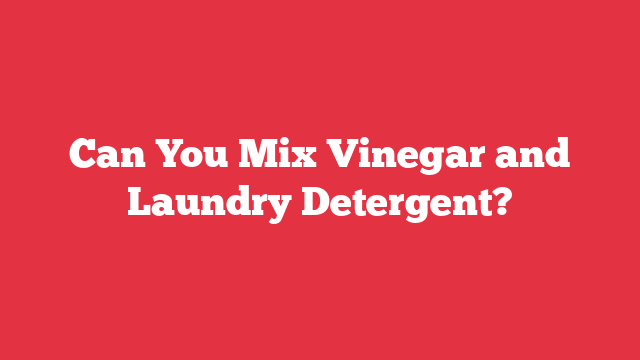 Can You Mix Vinegar and Laundry Detergent?