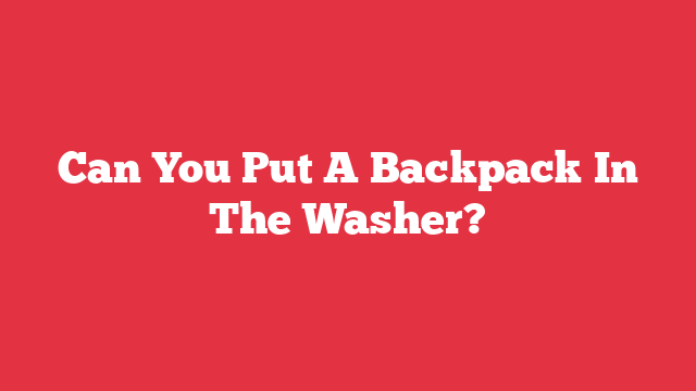 Can You Put A Backpack In The Washer?