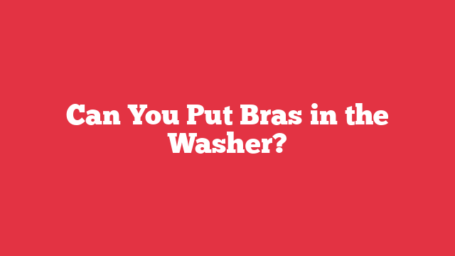 Can You Put Bras in the Washer?