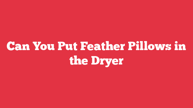 Can You Put Feather Pillows in the Dryer