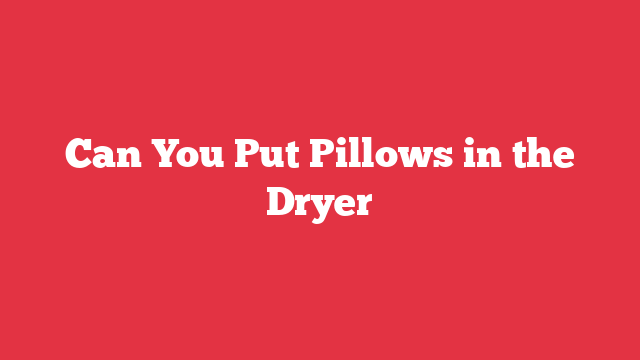 Can You Put Pillows in the Dryer