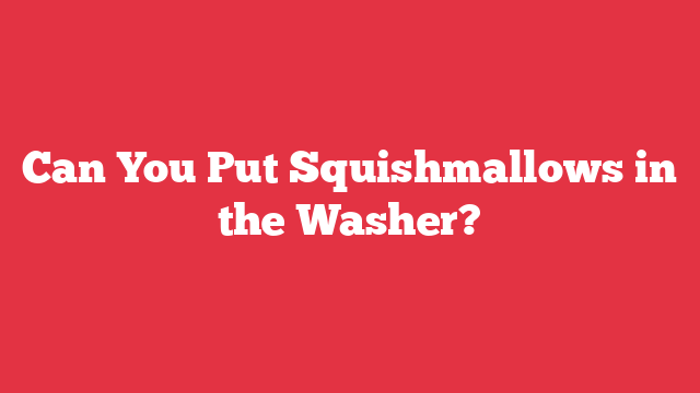 Can You Put Squishmallows in the Washer?