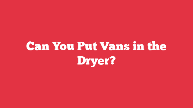 Can You Put Vans in the Dryer?