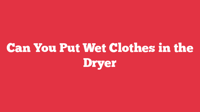 Can You Put Wet Clothes in the Dryer