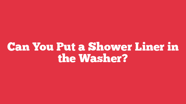 Can You Put a Shower Liner in the Washer?