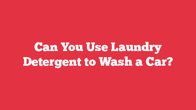 Can You Use Laundry Detergent to Wash a Car?