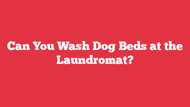 Can You Wash Dog Beds at the Laundromat?