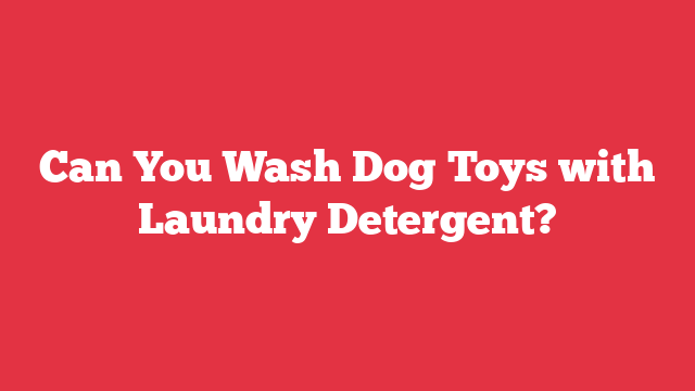 Can You Wash Dog Toys with Laundry Detergent?