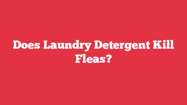 Does Laundry Detergent Kill Fleas?