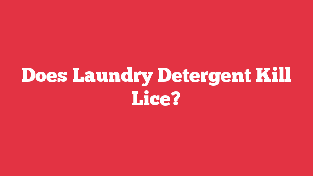 Does Laundry Detergent Kill Lice?