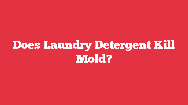 Does Laundry Detergent Kill Mold?