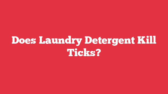 Does Laundry Detergent Kill Ticks?