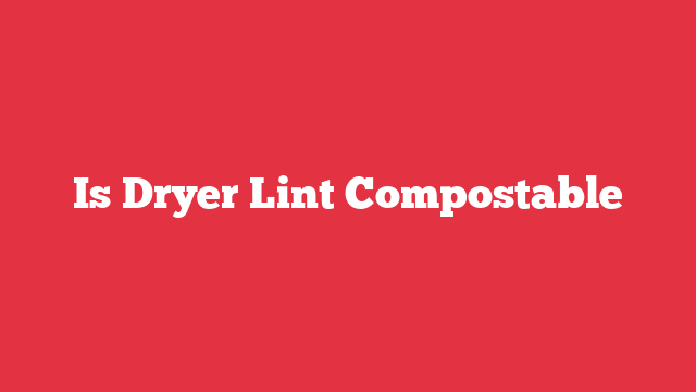 Is Dryer Lint Compostable