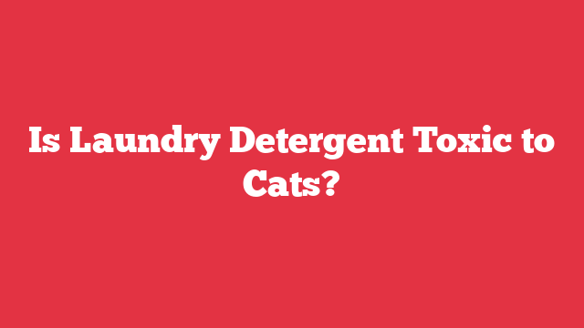 Is Laundry Detergent Toxic to Cats?