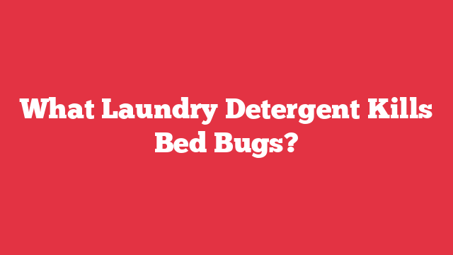 What Laundry Detergent Kills Bed Bugs?