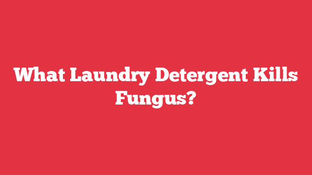 What Laundry Detergent Kills Fungus?