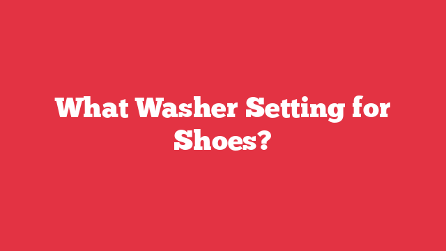 What Washer Setting for Shoes?