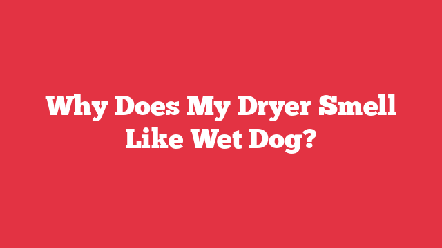 Why Does My Dryer Smell Like Wet Dog?