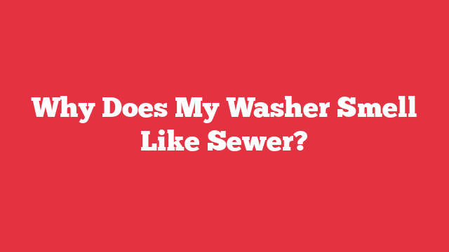 Why Does My Washer Smell Like Sewer?