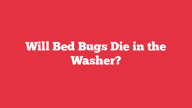 Will Bed Bugs Die in the Washer?