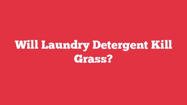 Will Laundry Detergent Kill Grass?