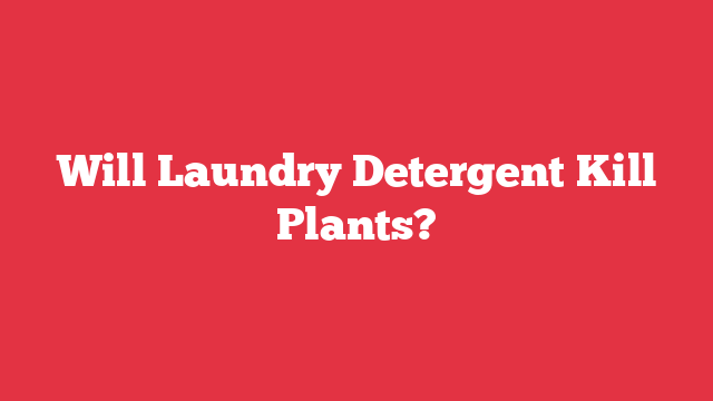 Will Laundry Detergent Kill Plants?