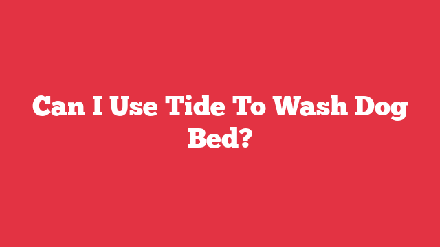 Can I Use Tide To Wash Dog Bed?